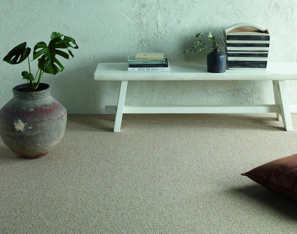 Beige fitted carpet with bench and plant